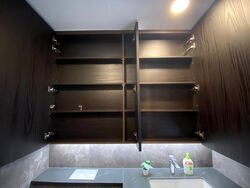 Kopar At Newton (D9), Apartment #585006891